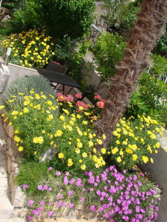 Apartments Melita Цриквеница Номер фото